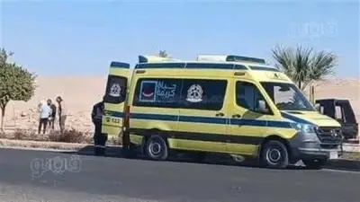 إصابة مزارع بتهتك في يده أثناء درس المحصول ببلقاس في الدقهلية