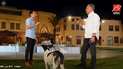 خبير سلوك حيواني: كلاب الشوارع عامل أمان طبيعي في البيئة المفتوحة