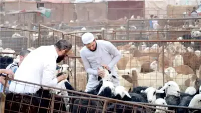 حكم الإمساك عن الشعر والأظفار لمن يجمع بين الحج والأضحية