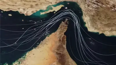 ألمانيا مستعدة للمشاركة في حماية الملاحة بمضيق هرمز