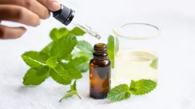 زيت النعناع يخفض ضغط الدم المرتفع.. دراسة بريطانية تكشف فاعليته