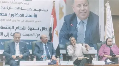 يمن الحماقي: قروض صندوق النقد ليست حلاً لأزمات مصر الاقتصادية