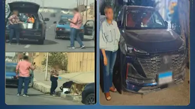 الداخلية تكشف تفاصيل فيديو إطعام كلاب ضالة وتضبط السيدة المتسببة