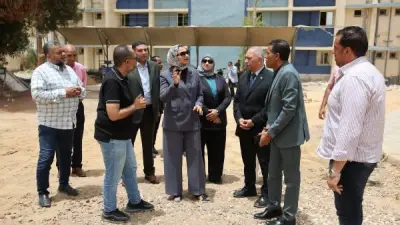 الوادي الجديد: توسع في الطاقة الشمسية واستعدادات لعيد الأضحى