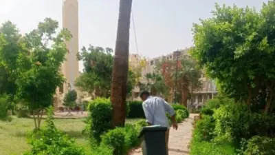 استعدادات مكثفة في أسوان لاستقبال عيد الأضحى المبارك