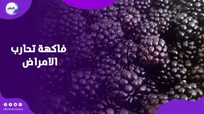 التوت الأسود فاكهة خارقة تمنع تحول الأورام لسرطان وتحارب الأمراض