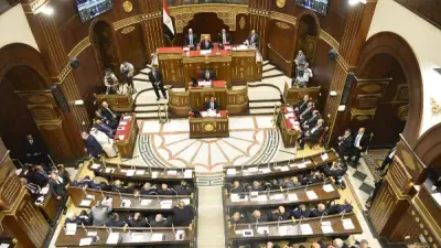 برلماني: لقاء وزير الصناعة مع الغرفة الفرنسية يعزز جذب الاستثمارات ويفتح آفاقا جديدة