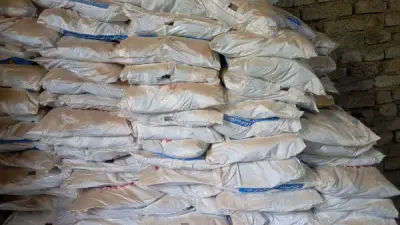 ضبط نصف طن ملح طعام مجهول المصدر في مخزن غير مرخص بإسنا بالأقصر