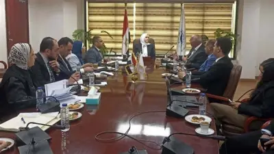 رشا عبد العال: الإعلام الضريبي تحول إلى خدمي متكامل يدعم الممولين