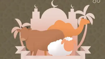 ما يسن للمضحي فعله عند الأضحية؟ دار الإفتاء توضح بالتفصيل