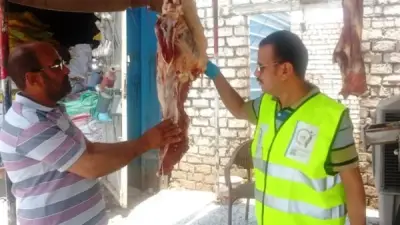 حملات بيطرية مكثفة بأسوان على الجزارة والأسواق استعداداً لعيد الأضحى