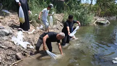 إطلاق مليون زريعة بلطي نيلي بالغربية لتعزيز الثروة السمكية