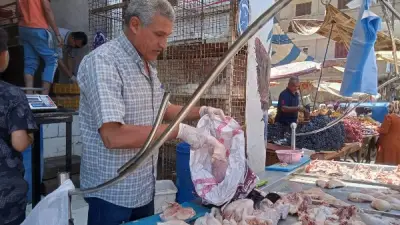 ضبط نصف طن دواجن غير صالحة للاستهلاك في حملة بالمنوفية