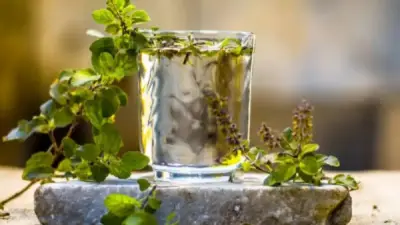 ماذا يحدث للرئة عند شرب ماء الريحان كل صباح؟ فوائد مذهلة