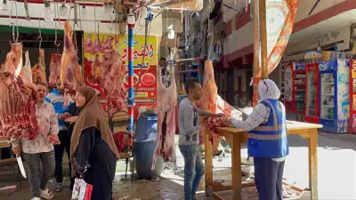 حملات توعية مكثفة من صرف الإسكندرية للتخلص الآمن من مخلفات الأضاحي