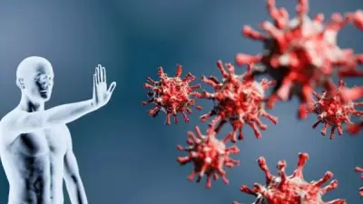 فوائد القرنفل الخارقة لتقوية المناعة ومكافحة الأمراض
