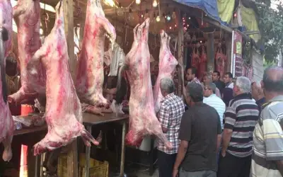 كيف تتأكد من جودة اللحوم؟ راجع هذه الأختام (فيديو)