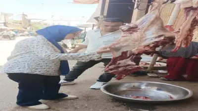 حملات مكثفة للطب البيطري ببني سويف على أسواق اللحوم استعداداً لعيد الأضحى