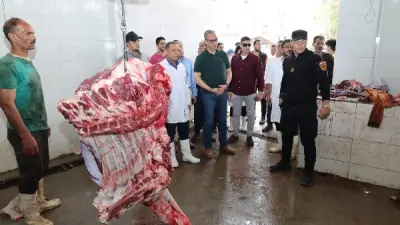 محافظ الجيزة يتفقد مجزري المنيب والوراق لاستقبال الأضاحي