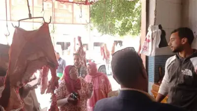 حملات مكثفة لمتابعة شوادر الماشية بأحياء الإسكندرية استعداداً لعيد الأضحى