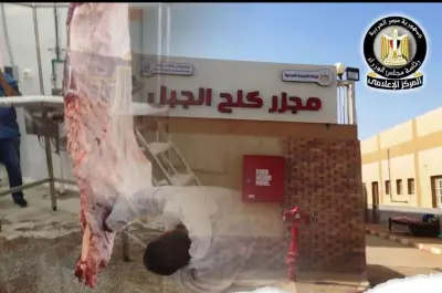 التنمية المحلية تعلن تشغيل مجزر كلح الجبل بإدفو استعدادًا لعيد الأضحى