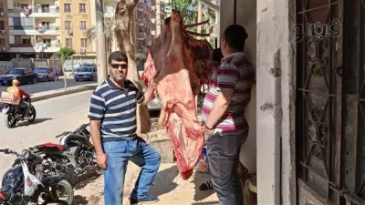 تكثيف حملات رقابية على الجزارة لضمان سلامة اللحوم في الأسواق