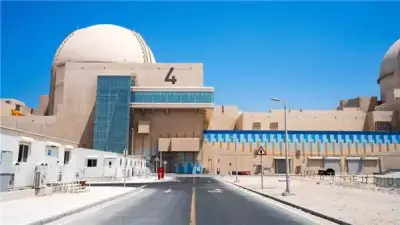 مجلس الأمن يدين الهجوم على محطة براكة النووية الإماراتية