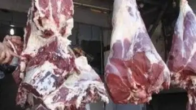 ختم اللحمة ضمان جودتها: كل ما تريد معرفته عن أختام المجازر الحكومية