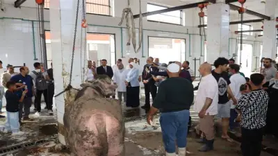 وزير الزراعة يرفع الاستعداد القصوى بالمجازر والقطاعات الخدمية خلال عيد الأضحى