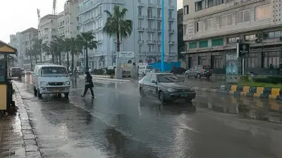 طقس ثاني أيام عيد الأضحى: تراجع الحرارة وشبورة كثيفة غدا