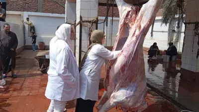 محافظ الغربية يتفقد ذبح الأضاحي بالمجازر الحكومية في أول أيام العيد