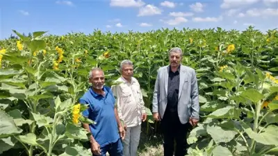 مدير زراعة الإسماعيلية يتفقد المحاصيل ويقدم الدعم الفني للمزارعين في العيد