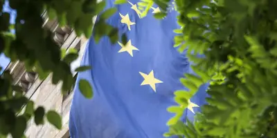 بروجكت سنديكيت: الاقتصاد المستدام محرك التنافس والسيادة في العالم الجديد