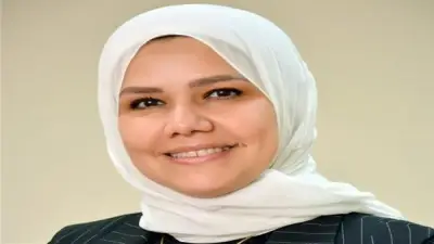 الضرائب تعلن تفاصيل مشروع الربط الإلكتروني مع الجهات الحكومية