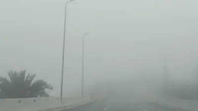 نصائح مهمة للقيادة الآمنة أثناء الشبورة المائية بعد إجازة العيد