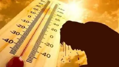 الأرصاد الجوية تكشف تفاصيل الطقس حتى الأربعاء المقبل