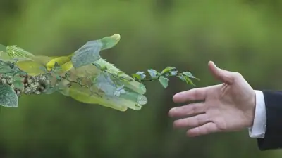 التحول الأخضر في مصر.. من التزام بيئي إلى أداة تنموية واستراتيجية