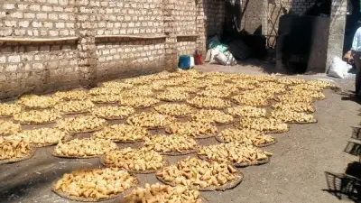 حملة مكبرة على مصانع الجلاب بنجع حمادي تحرر محاضر عدم صلاحية