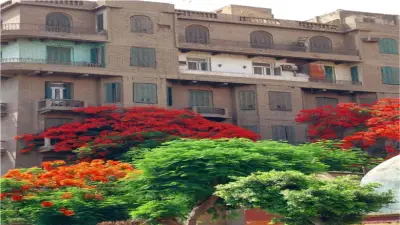 الشجرة الملكية تزين شوارع القاهرة.. كيف دخلت البونسيانا إلى مصر؟