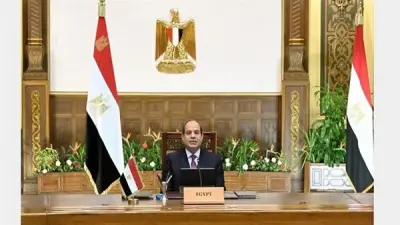 السيسي يتابع المشروعات الصحية لوزارة التعليم العالي