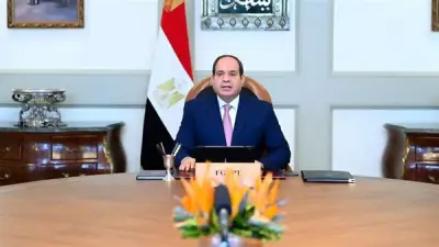 السيسي يوجه بتعزيز تنافسية الجامعات المصرية إقليمياً ودولياً