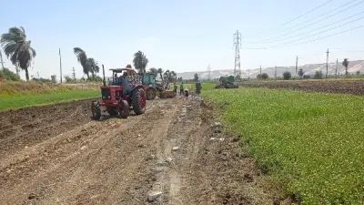 محافظ سوهاج يحيل مواطناً للنيابة بتهمة تبوير نصف فدان زراعي