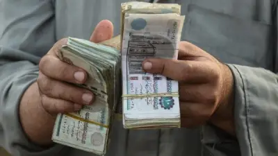 هل للزوج حق في راتب زوجته العاملة؟ دار الإفتاء تجيب