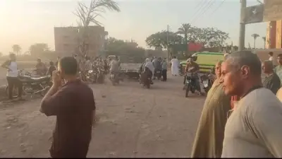 مصرع طفلين غرقًا في ترعة البرشومية بالقليوبية أثناء الاستحمام