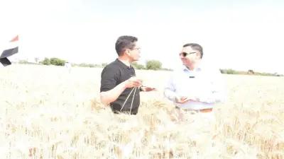 بداية يونيو.. تحذير من 