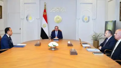 السيسي يوجه بتطوير مراكز تنمية قدرات أعضاء هيئة التدريس