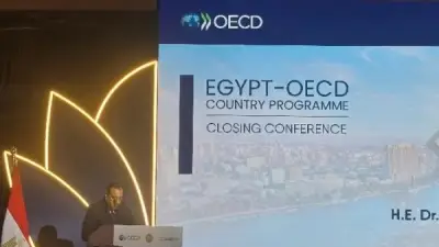 مدير البيئة بـOECD: مصر تحقق تقدمًا بيئيًا والهيدروجين الأخضر فرصة واعدة