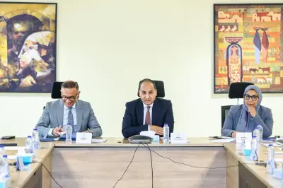 التخطيط توجه التمويلات للأنشطة الأعلى جدوى لتعظيم أثر مشروع She Trades Egypt