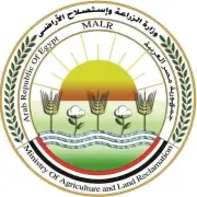 الزراعة تعلن ذبح 10 آلاف أضحية بالمجازر الحكومية مجاناً في أول أيام عيد الأضحى