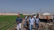 إزالة 10 حالات تعد على الأراضي الزراعية وأملاك الدولة بسمالوط بالمنيا